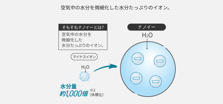 ナノイーとは
